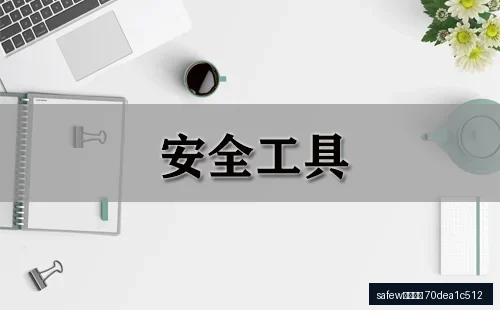 safew聊天软件safew聊天软件下载实战：匿名聊天常见问题与处理步骤示意图，帮助完成safew聊天软件相关操作